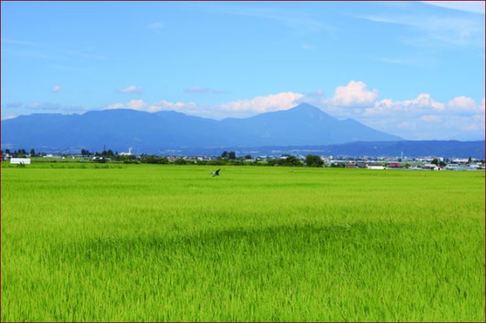 aizu misatocho