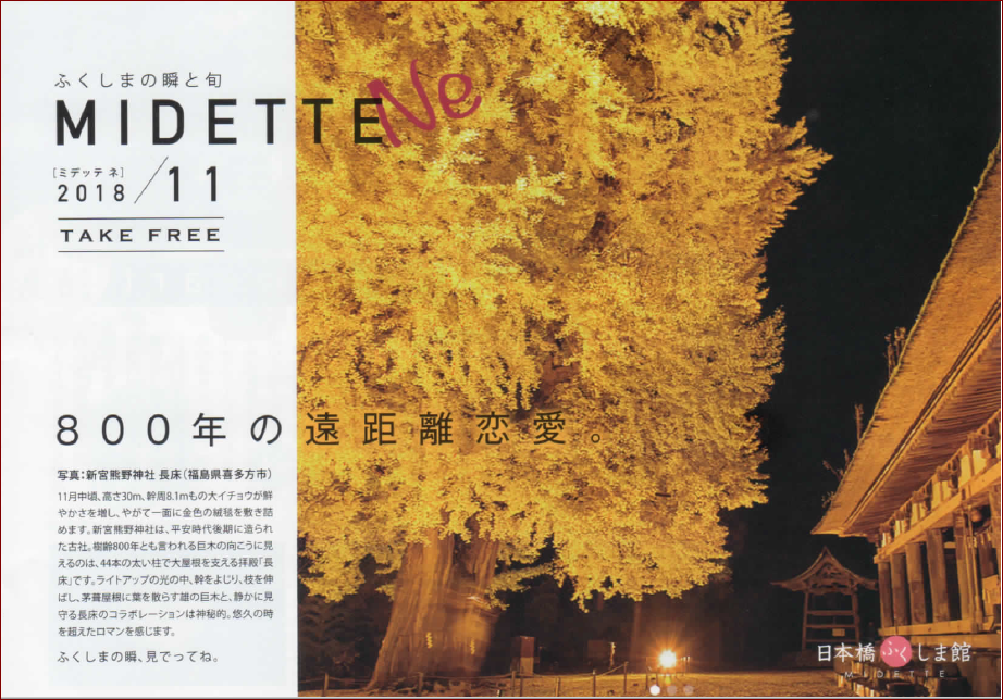 midette201811